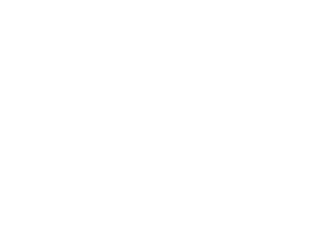 Vereinsname Flechtinger SV, 8,0 cm, weiß