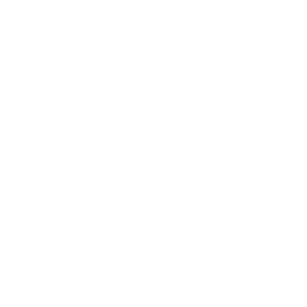 Vereinslogo SV Holdorf weiß, 8,0 cm, weiß/weiß