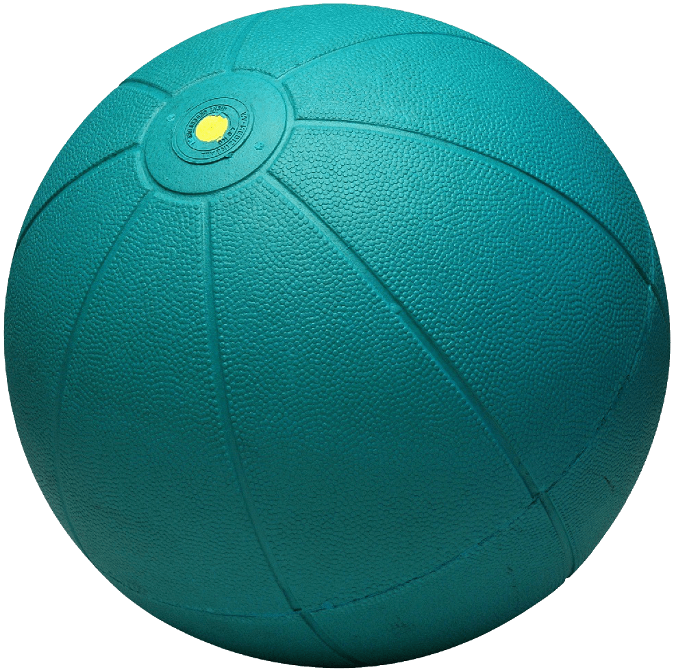 WV Medizinball 1000 g