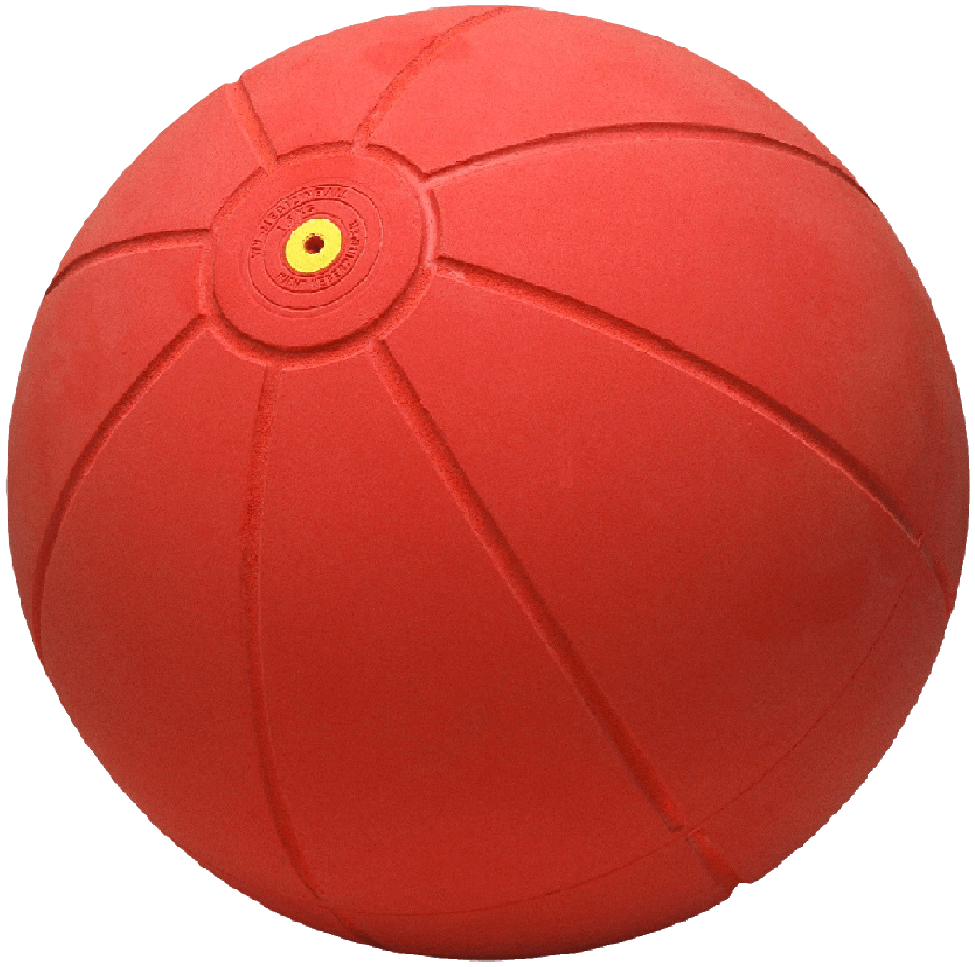 WV Medizinball 1500 g