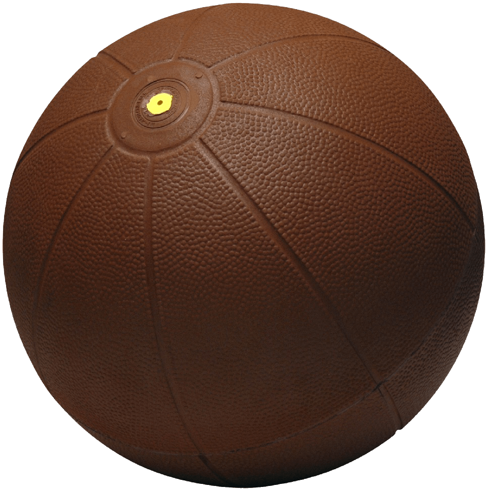 WV Medizinball 2000 g