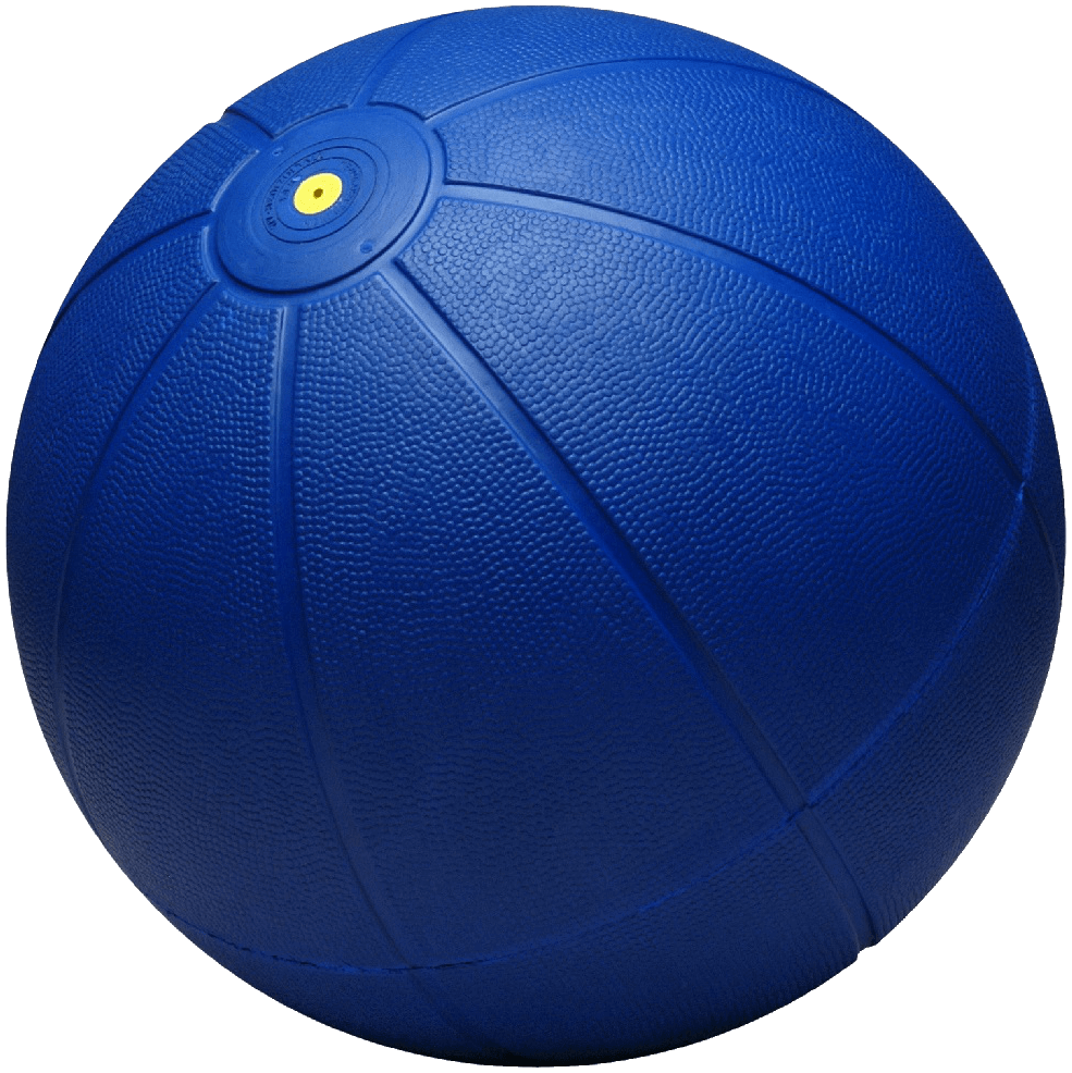 WV Medizinball 3000 g