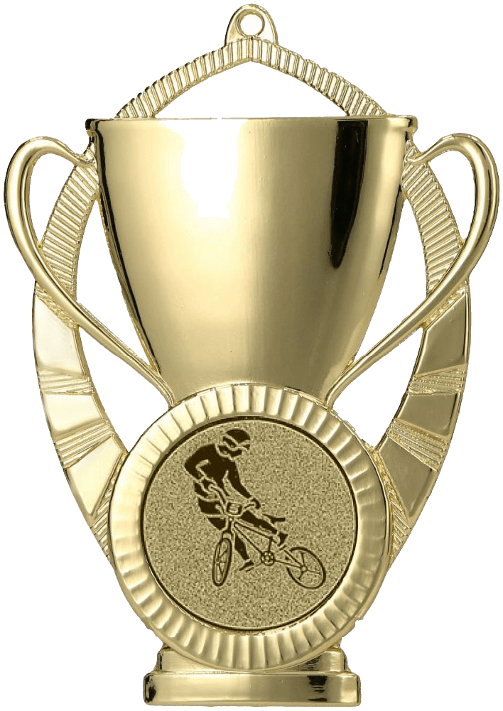 Medaille 8,5 x 6 cm