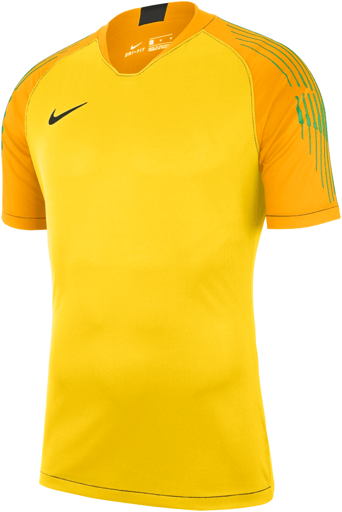 Nike Kurzarm-Torwarttrikot 