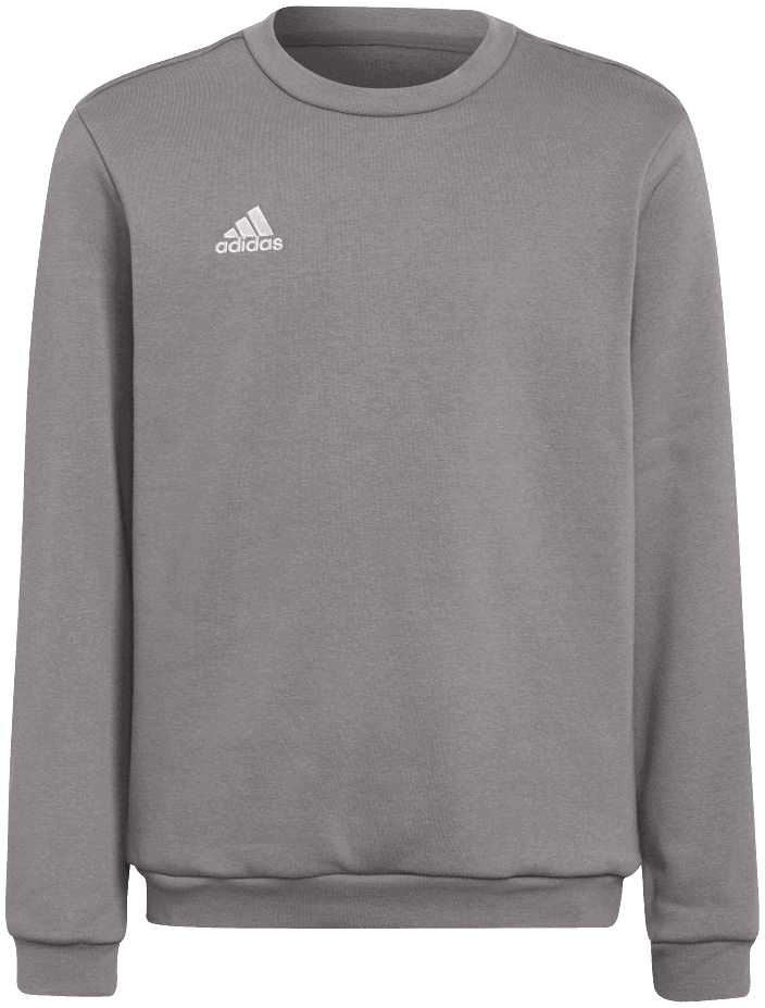 adidas Entrada 22 Sweatshirt