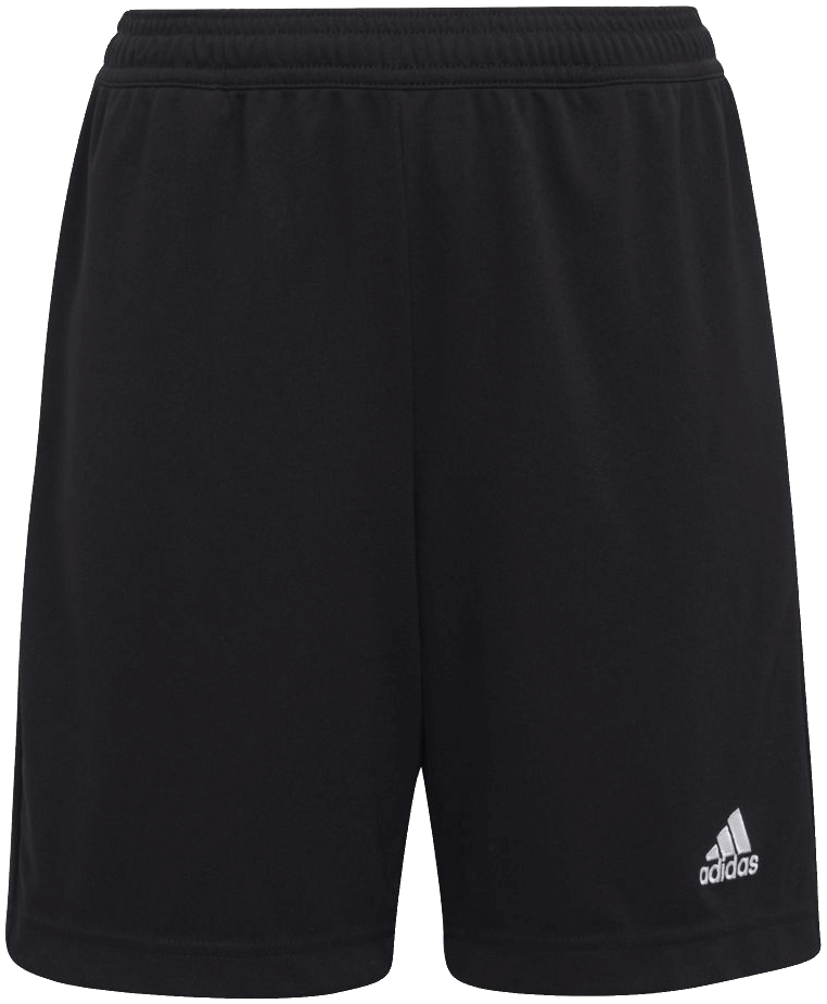 adidas Entrada 22 Trainingshorts