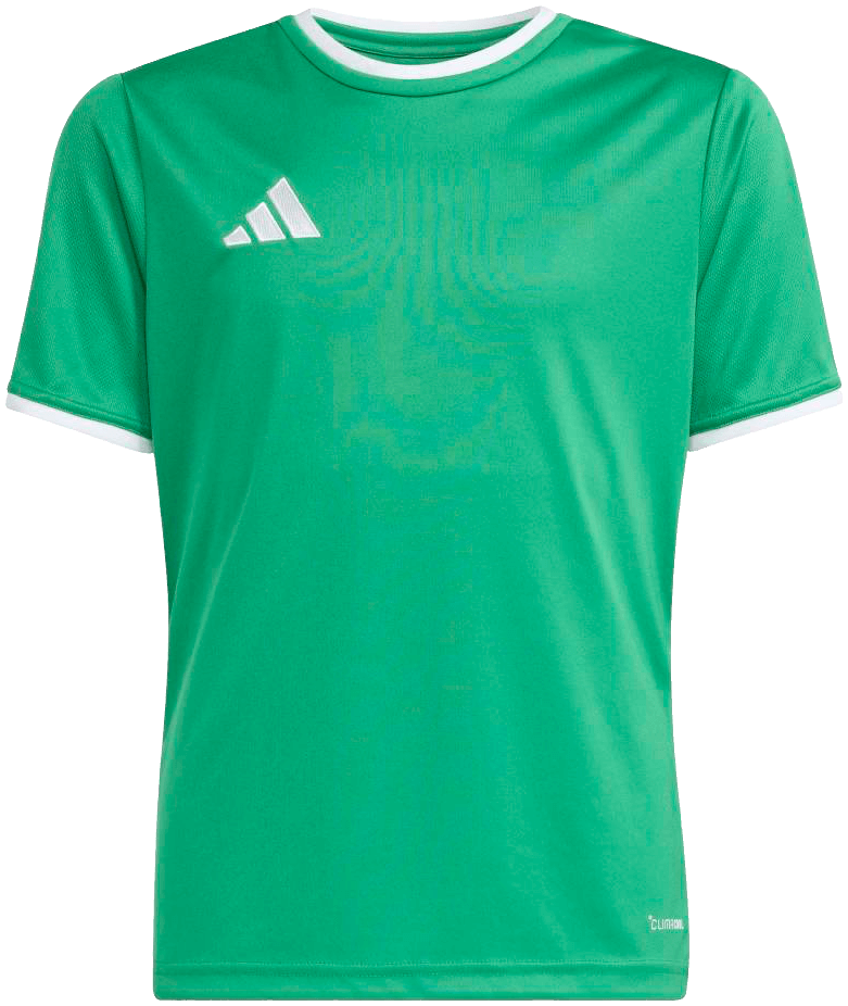 adidas Entrada 26 Trikot, 176, grün/weiß
