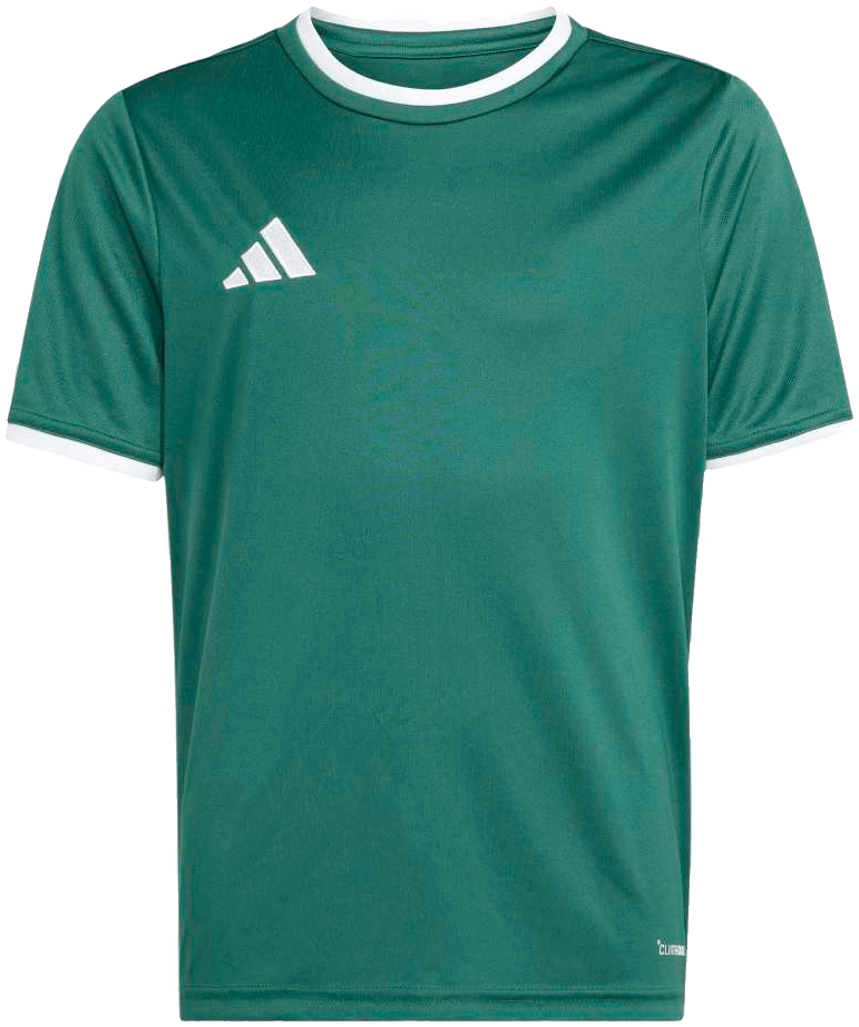 adidas Entrada 26 Trikot, 176, dunkelgrün/weiß