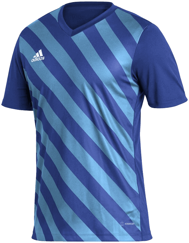 adidas Fussball Trikot Entrada 22 GFX
