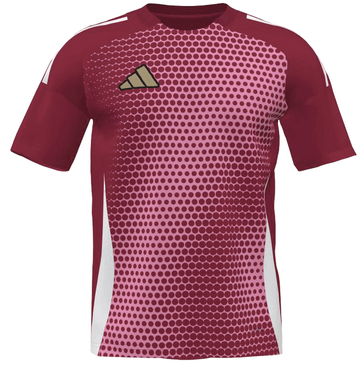 adidas Fussball Trikot Graphic Grady