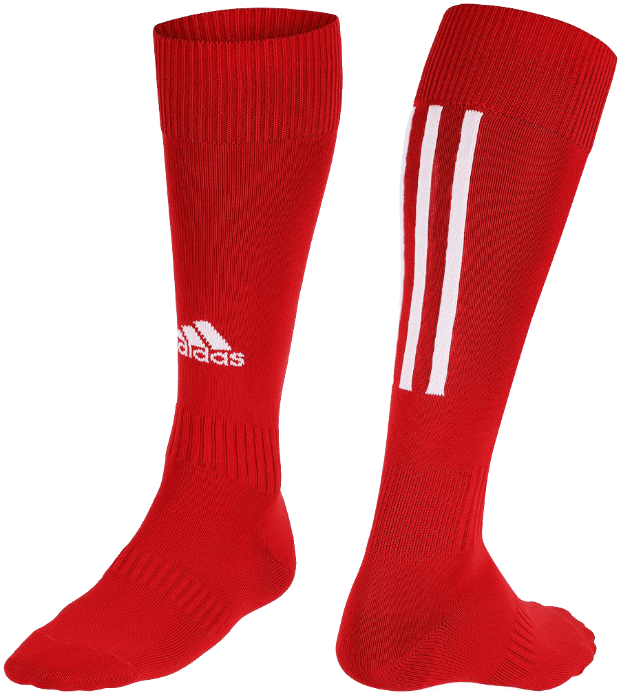 Adidas Fussballsocken Santos 18