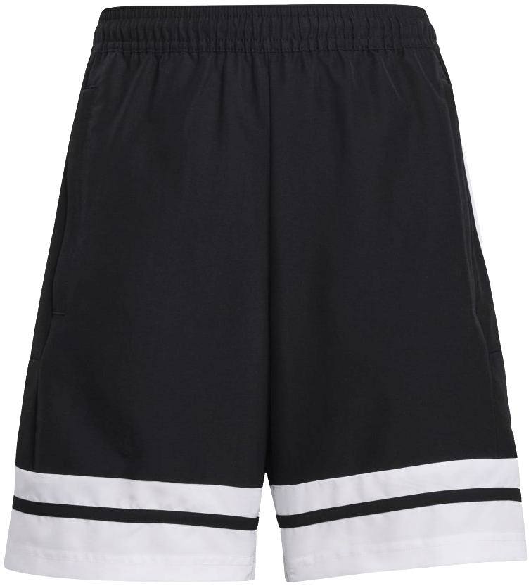 adidas Squadra 25 Shorts DT