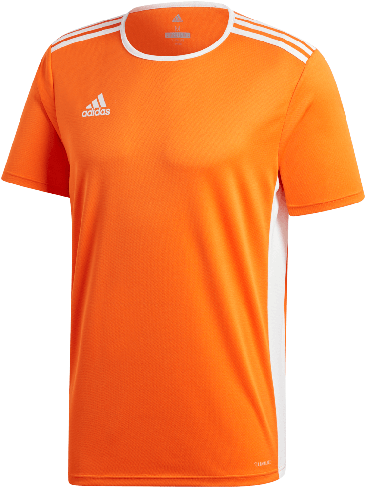 adidas Trikot Entrada 18
