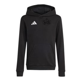 adidas Entrada 26 SG Neuhaus-Aufseß Kinder Hoodie