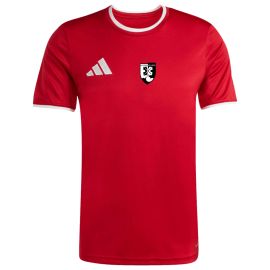 adidas Entrada 26 SG Thyrnau Kellberg Herren Damen Trikot