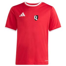 adidas Entrada 26 SG Thyrnau Kellberg Kinder Trikot