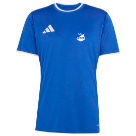 adidas Entrada 26 TuS Detern Herren Damen Trikot