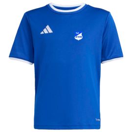 adidas Entrada 26 TuS Detern Kinder Trikot