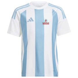 adidas ETFA Academy standard Striped 24 Kinder Trikot