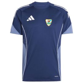 adidas Tiro 25 Competition SpVgg Röhrmoos-Großinzemoos Fußball Herren Kinder Fußball Trikot