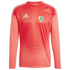 adidas Tiro 25 Competition SpVgg Röhrmoos-Großinzemoos Fußball Herren Herren Damen Torwarttrikot