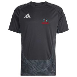adidas Tiro 26 Competition ETFA Academy standard Herren Damen Kurzarm Torwattrikot