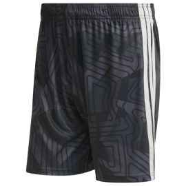 adidas Tiro 26 Competition ETFA Academy standard Herren Damen Torwartshorts