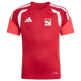 adidas Tiro 26 Competition TSG Burg Lichtenberg Kinder Trikot