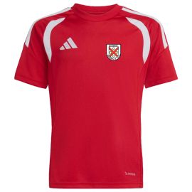 adidas Tiro 26 League Quitt Ankum Kinder Trikot