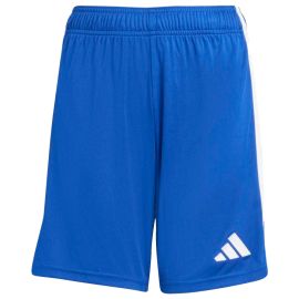 adidas Tiro 26 League STV Barßel Kinder Shorts