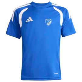 adidas Tiro 26 League STV Barßel Kinder Trikot