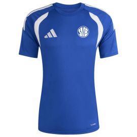 adidas Tiro 26 League SV Bubsheim 1922 e.V. Herren Damen Trikot