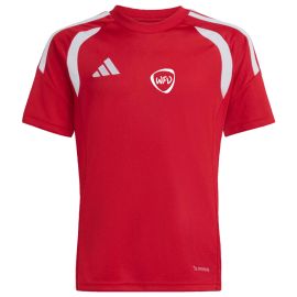 adidas Tiro 26 League WFV Kinder Trikot