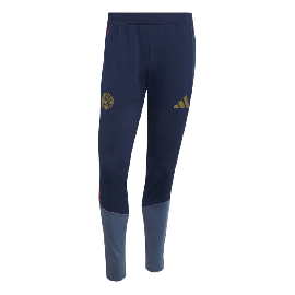 adidas Trainingshose FC Bayern München 26/27