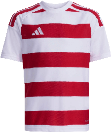 adidas Trikot Hooped 26