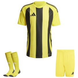 adidas Trikotsatz Striped 24 Herren Damen 3-teilig Trikot Shorts Sockenstutzen