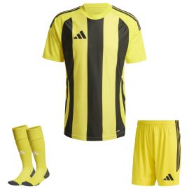 adidas Trikotsatz Striped 24 Herren Damen 3-teilig Trikot Shorts Sockenstutzen