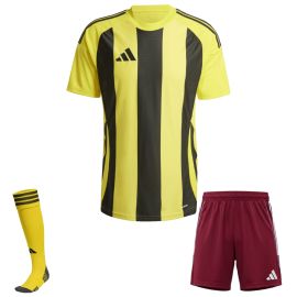 adidas Trikotsatz Striped 24 Herren Damen 3-teilig Trikot Shorts Sockenstutzen