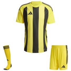 adidas Trikotsatz Striped 24 Herren Damen 3-teilig Trikot Shorts Sockenstutzen