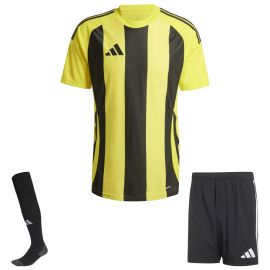 adidas Trikotsatz Striped 24 Herren Damen 3-teilig Trikot Shorts Sockenstutzen