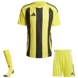 adidas Trikotsatz Striped 24 Herren Damen 3-teilig Trikot Shorts Torwart Sockenstutzen