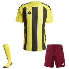 adidas Trikotsatz Striped 24 Herren Damen 3-teilig Trikot Shorts Torwart Sockenstutzen