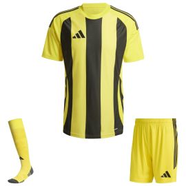 adidas Trikotsatz Striped 24 Herren Damen 3-teilig Trikot Shorts Torwart Sockenstutzen