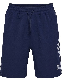 Hummel Trainingsshorts ROOT