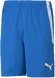 Puma Team Liga Fussballshort