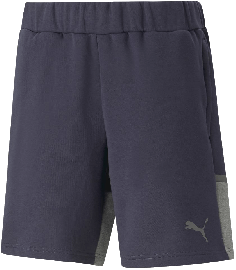 Puma teamCUP Casuals Trainingsshort