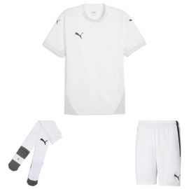 Puma teamFinal Trikotsatz Herren Damen 3-teilig Fussball Trikot Fussballshort Core Sockenstutzen