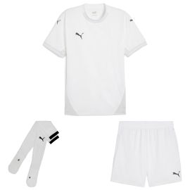 Puma teamFinal Trikotsatz Herren Damen 3-teilig Fussball Trikot Short Sockenstutzen