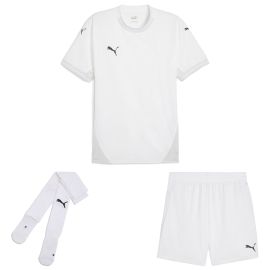 Puma teamFinal Trikotsatz Herren Damen 3-teilig Fussball Trikot Short Sockenstutzen
