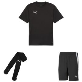 Puma teamGoal Trikotsatz Kinder 3-teilig Fussball Trikot Fussballshort Sockenstutzen